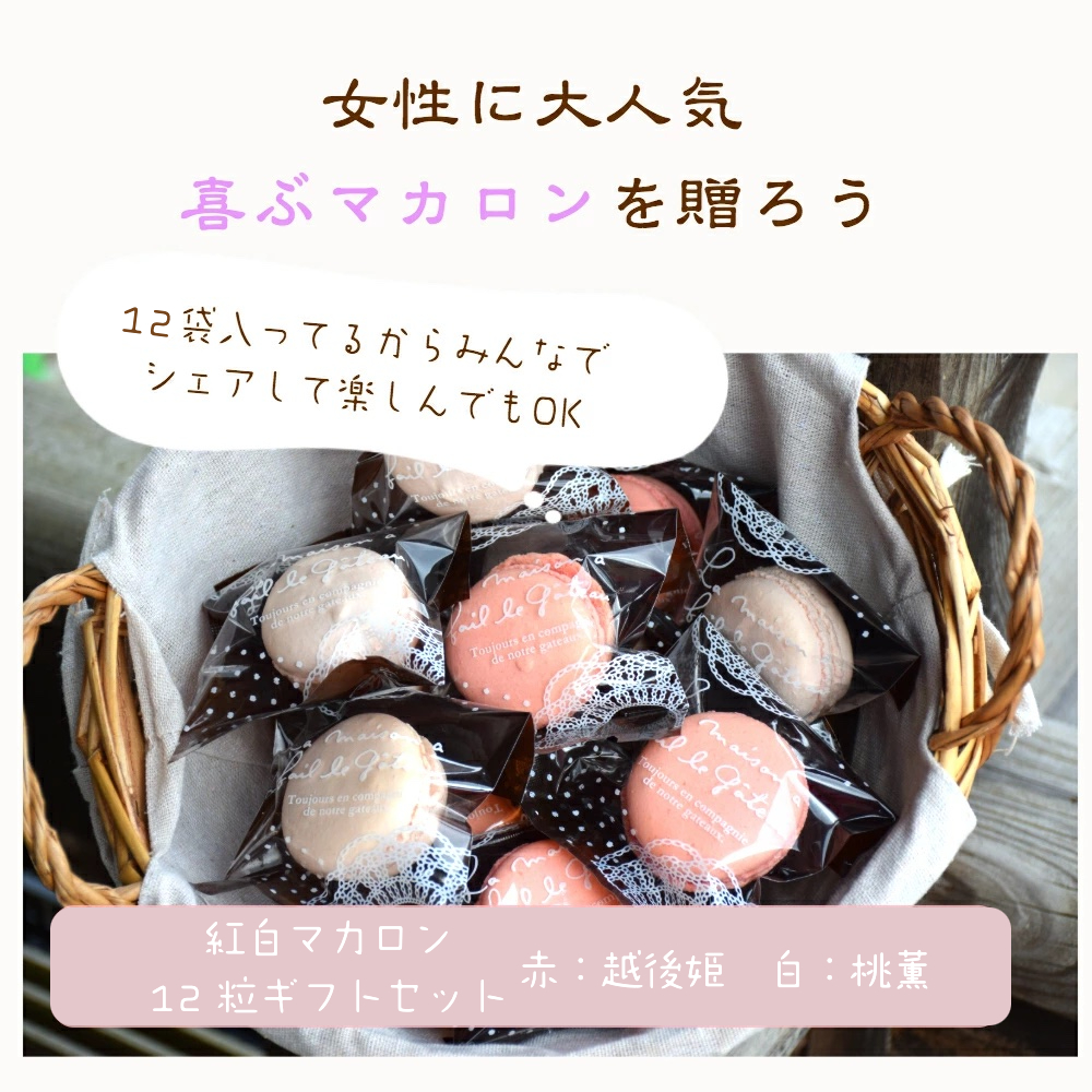 苺マカロン12粒セット 大人の女性が喜ぶ贈りものにおすすめのギフト